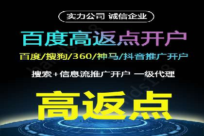 百度竞价广告的投放成本与ROI分析案例