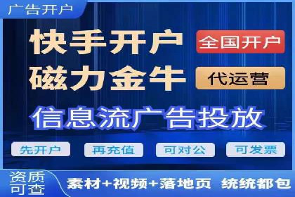 行业标杆的SEM竞价营销案例研究